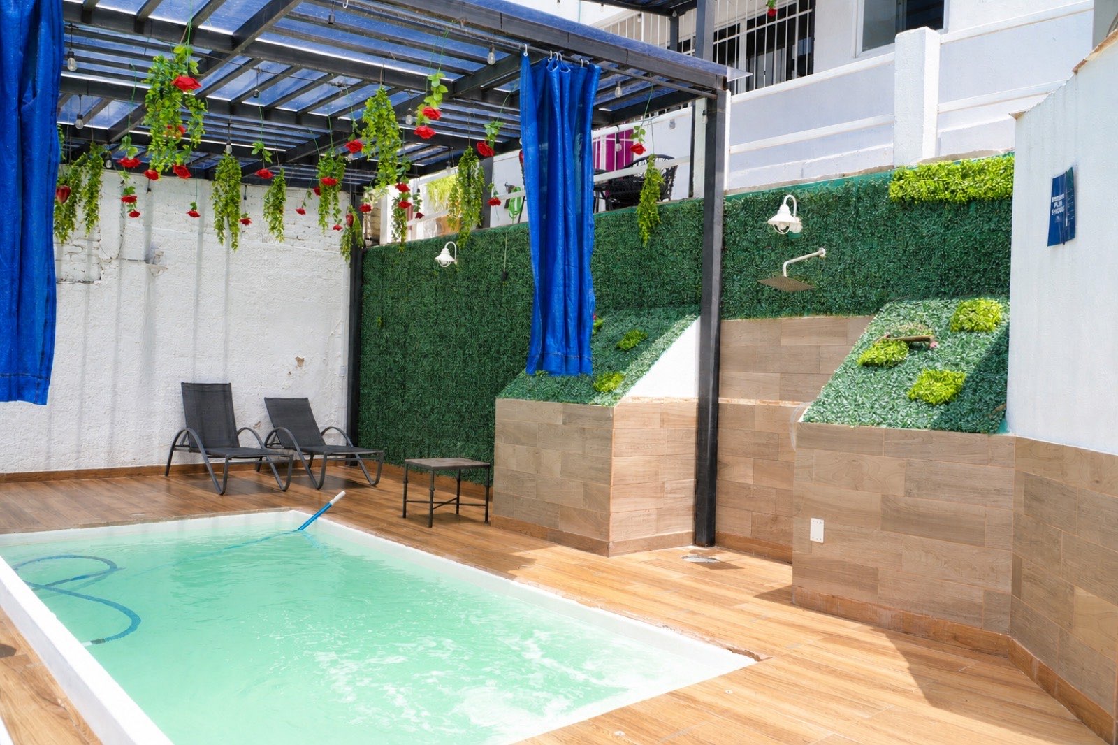 Alberca de la casa de día, bajo una pérgola con plantas colgantes, camastros y muro verde